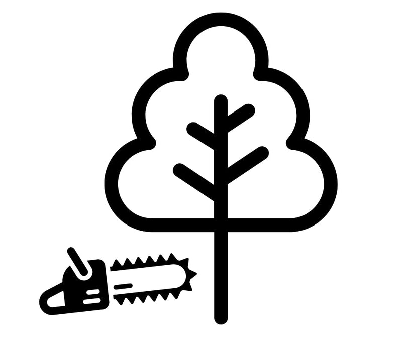 Abattage / élagage d'arbres - Québec / Lévis