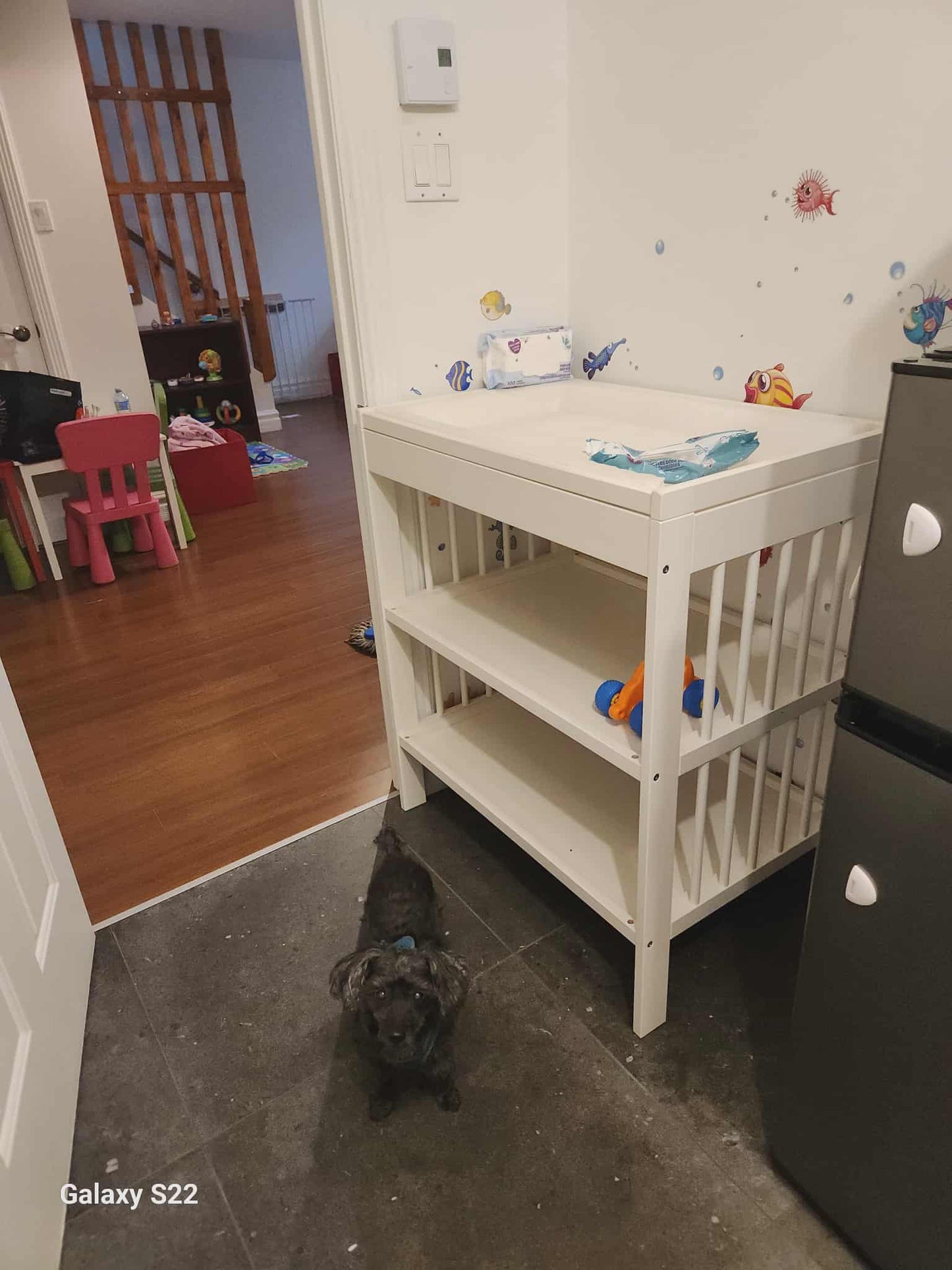 Les P'tits Colibris - Québec